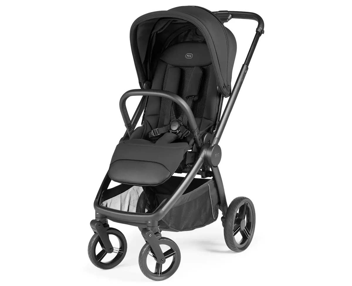 Peg Perego City Loop Pro stroller